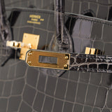 Hermes Birkin 25 Bag Graphite Crocodile with Palladium Hardware