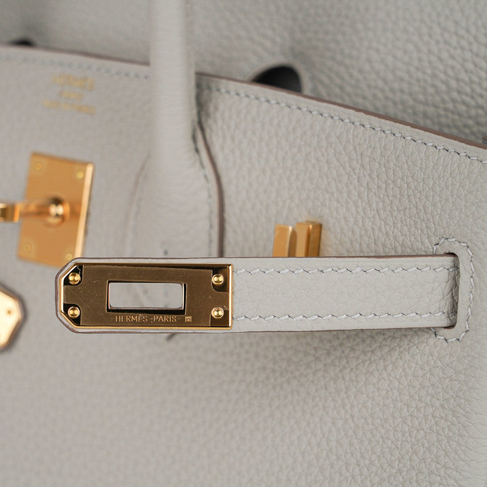 Hermes Birkin 25 Bag Gris Perle Togo Gold Hardware