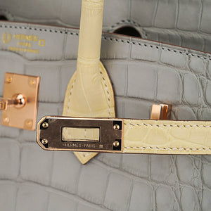 Hermes Special Order HSS Birkin 25 Bag Gris Perle & Vanille Matte Alligator with Rose Gold Hardware