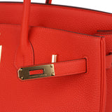 Hermes Birkin 35 Bag Capucine Togo Leather with Gold Hardware