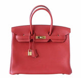 Hermes Birkin 25 Vermillion Bag
