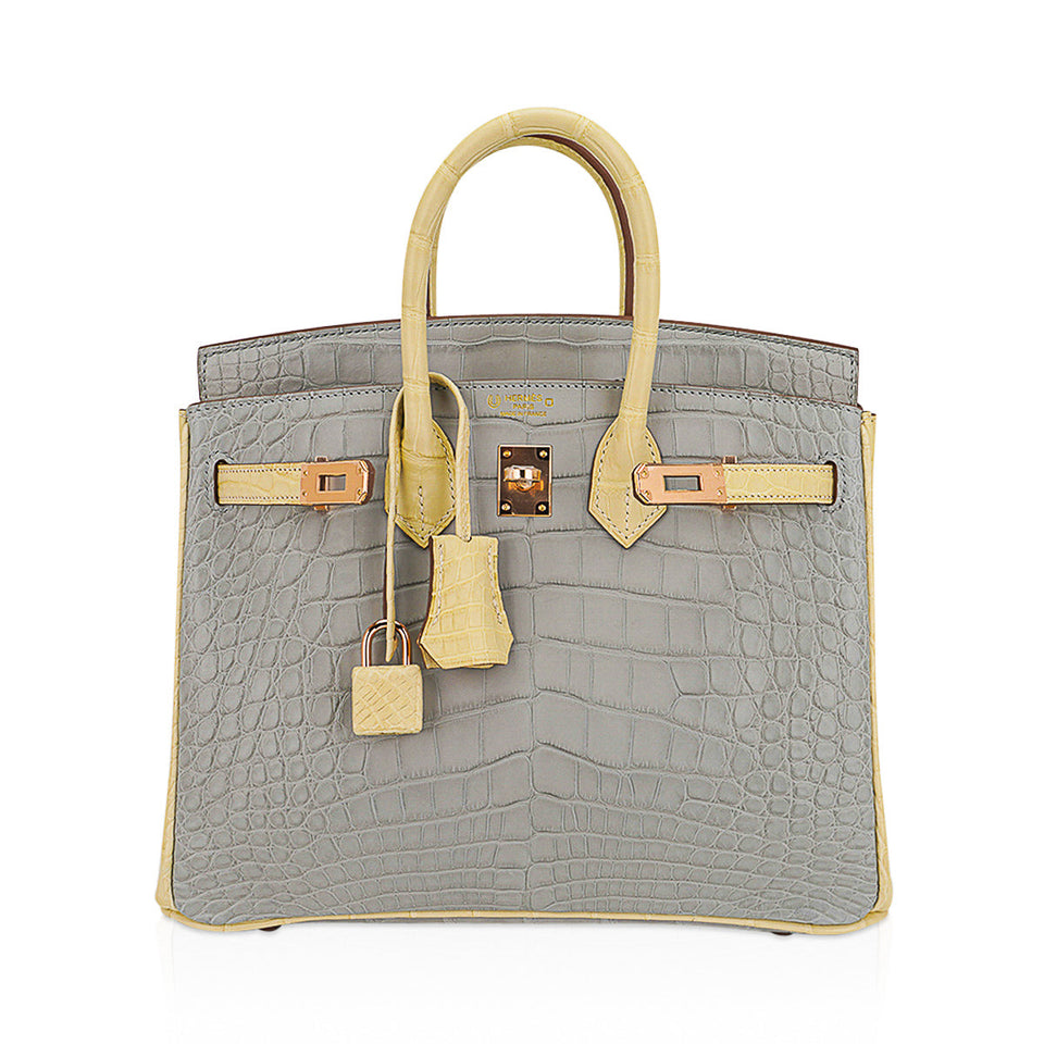 Hermes Special Order HSS Birkin 25 Bag Gris Perle & Vanille Matte Alligator with Rose Gold Hardware