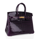 Hermes Birkin 25 Bag Aubergine Niloticus Crocodile with Gold Hardware