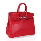 Hermes Limited Edition Birkin 25 Bag Rouge Lizard with Palladium Hardware