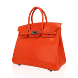 Hermes Birkin 25 Bag Orange Tangerine Lizard with Ruthenium Hardware