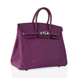 Hermes Birkin 25 Violet Purple Lizard Palladium Hardware