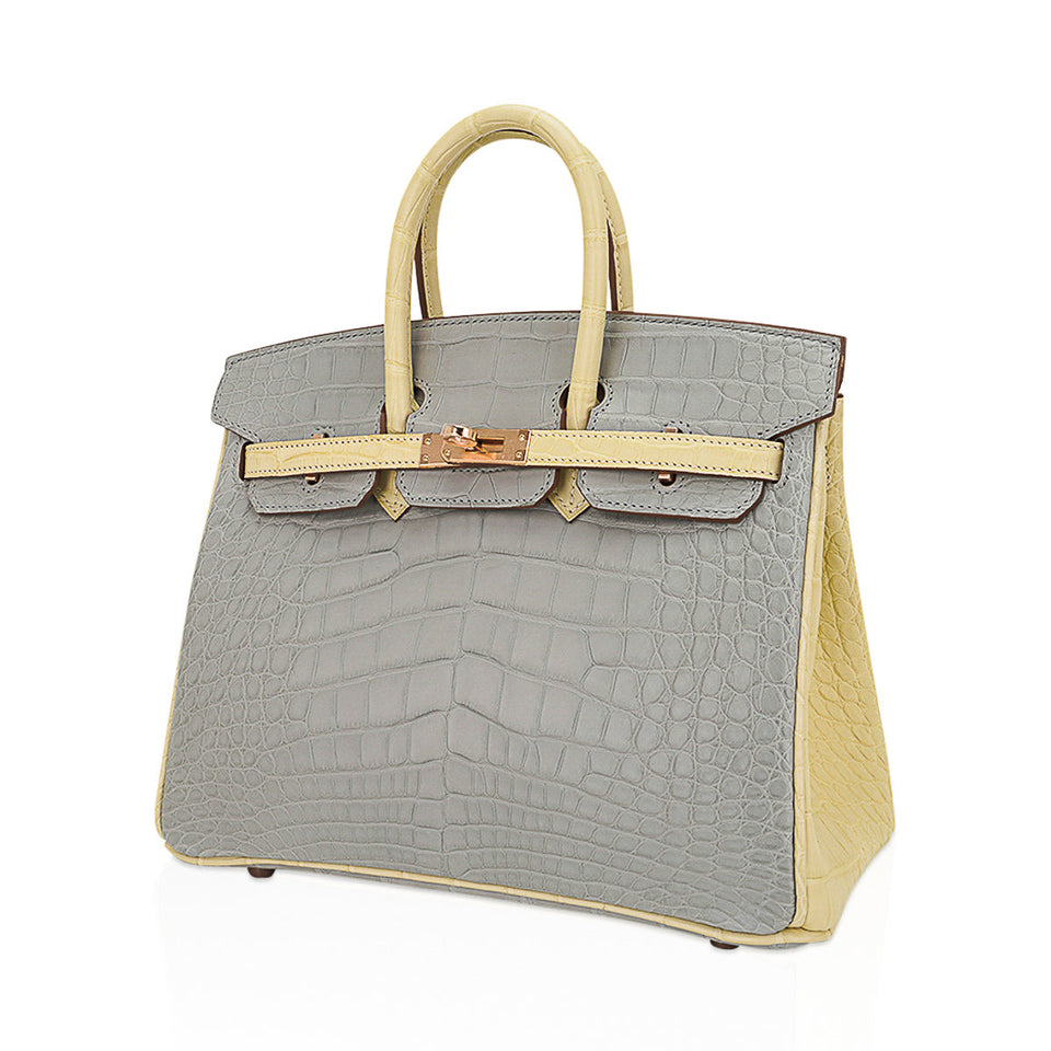 Hermes Special Order HSS Birkin 25 Bag Gris Perle & Vanille Matte Alligator with Rose Gold Hardware